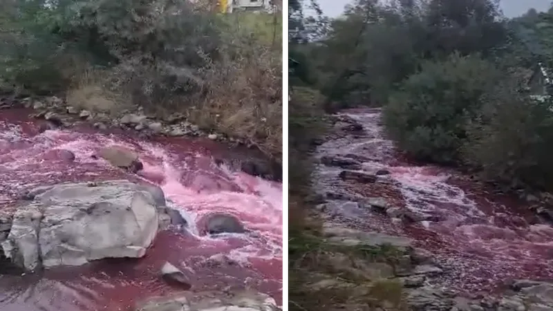Fenomen straniu. Apa unui râu din România a devenit „sângerie” peste noapte - FOTO: Captura video