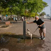 Canicula pârjolește Europa: Cod Roșu, în mai multe regiuni din Spania - Foto: Profimedia Images - Imagine cu rol ilustrativ