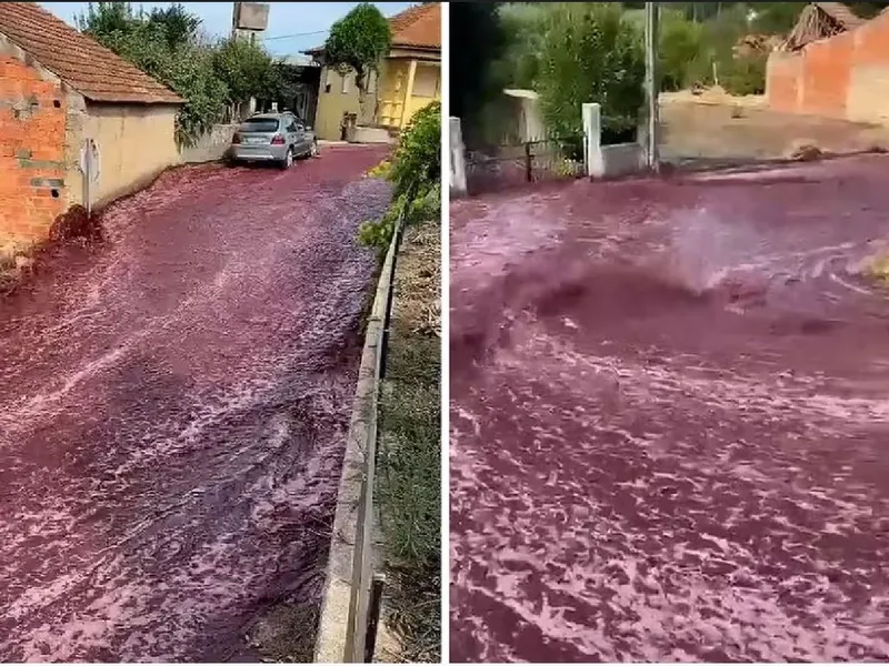 Locuitorii unui sat portughez, sinistrați de o viitură de vin roșu-  Foto: X/Twitter-Reprodução