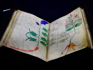 Misterul manuscrisului Voynich: Ar fi fost scris într-o limbă „dispărută”, din care a evoluat româna - Foto: Profimedia Images/ Imagine cu caracter ilustrativ