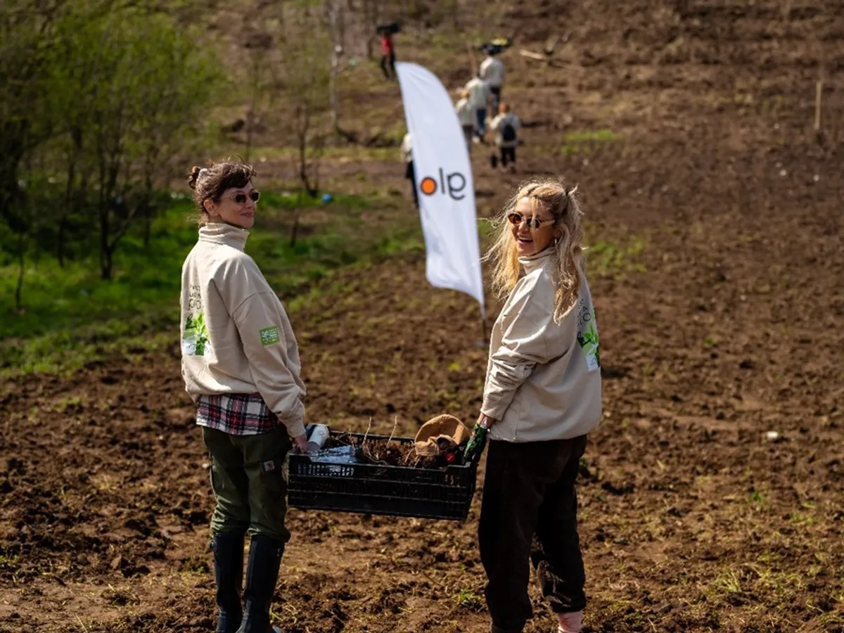 Peste 23.000 de copaci plantați în județele Buzău și Călărași, în cadrul campaniei ”Reciclăm & Plantăm Împreună!” Foto: BAT