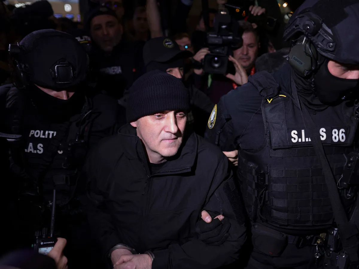 Potra - Foto: INQUAM PHOTOS / Octav Ganea