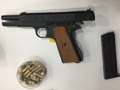 Un ucrainean a încercat să între în România cu un pistol plin cu cartușe de calibru 8 mm - FOTO: Profimedia