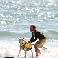 Foto: The Surfing Goats