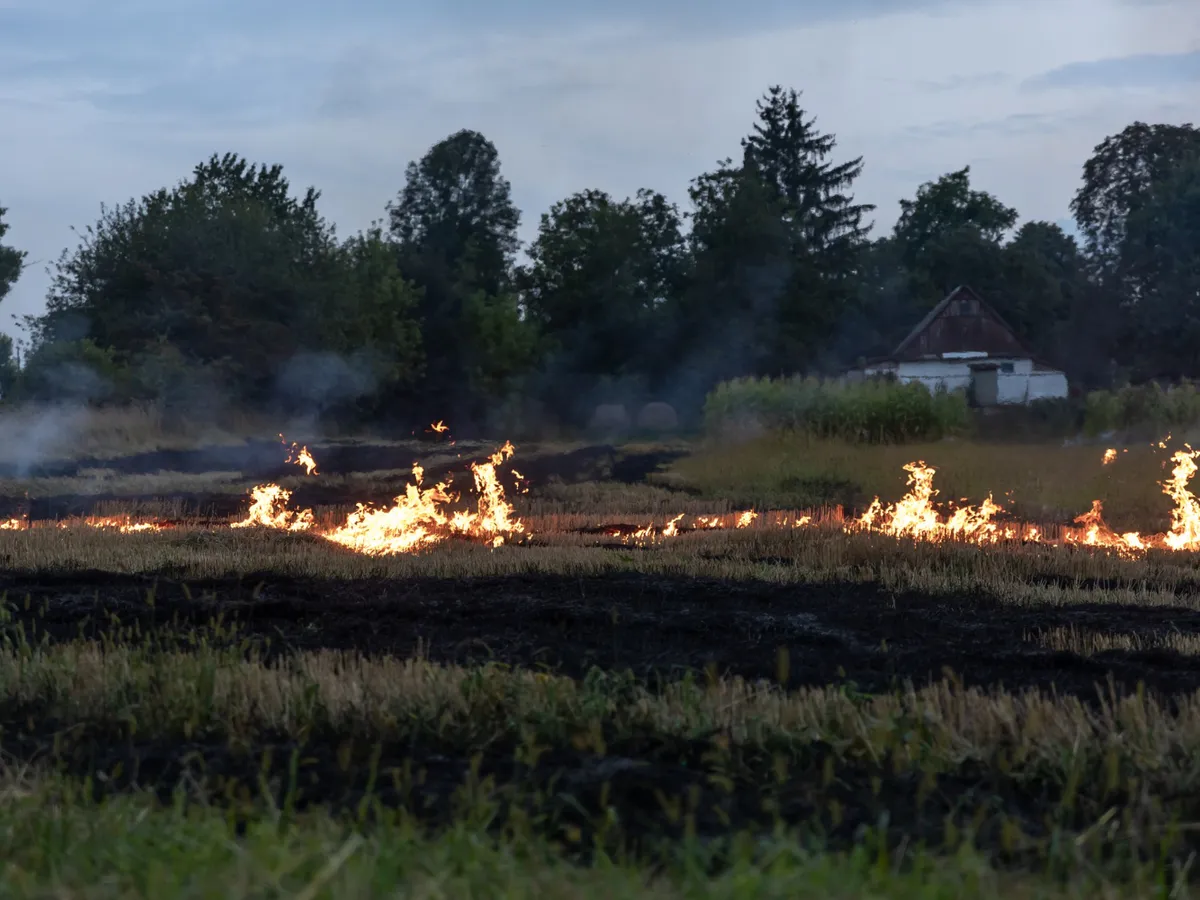 MAE avertizează românii care călătoresc în SUA: incendii de vegetație și evacuări pe Coasta de Vest