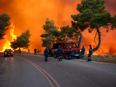 Incendiu puternic de vegetație, în zona Attica - Foto: Profimedia Images