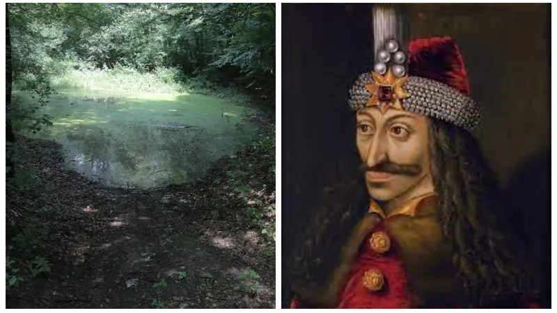 Enigma bălții de lângă București unde s-ar afla capul lui Vlad Țepeș. Animalele nu beau apă de aici - Foto: Colaj/ Imagine cu caracter ilustrativ
