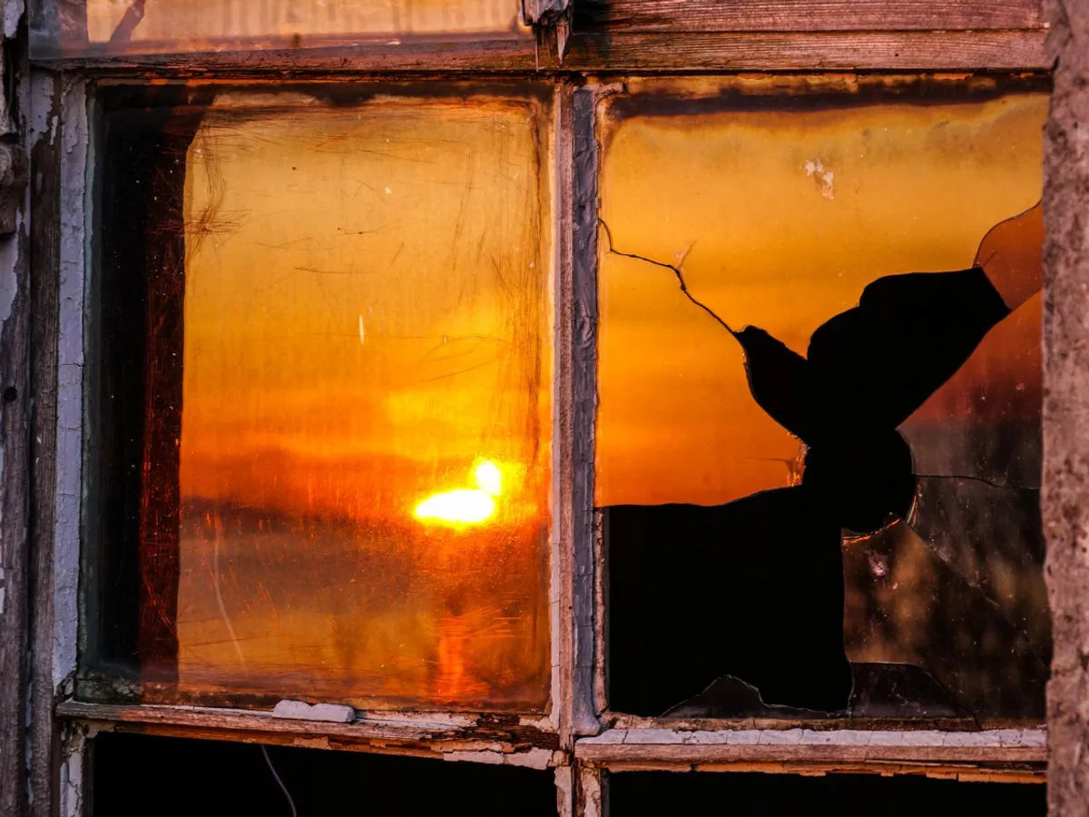 Adăpost Foto: Freepik (imagine cu rol ilustrativ)