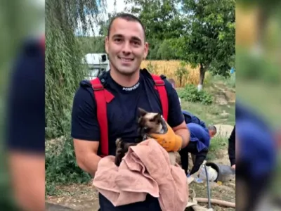 Pisică salvată de Ziua Pompierilor, după ce a dispărut două zile. Intervenția a durat aproape patru ore - foto: ISU Hunedoara