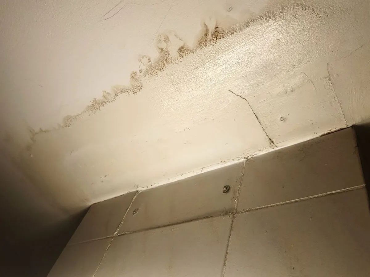 Administratorul de bloc nu poate iniţia acţiunea unui proprietar, în instanţă sau nu, contra altui proprietar