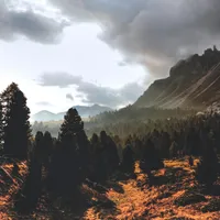 Mărțișorul vine cu vreme caldă și ploi în unele zone. Cum vor fi temperaturile în luna martie Foto: Pexels (fotografie cu caracter ilustrativ)