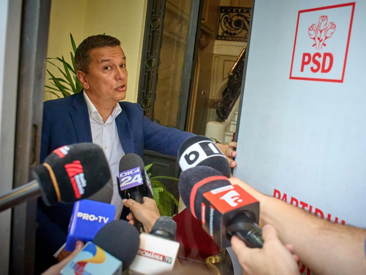 Sorin Grideanu, liderul PSD - Foto: Profimedia Images