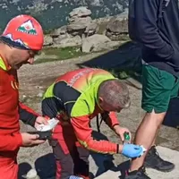 Un bărbat a fost mușcat de o vulpe în zona Babele. Care este pericolul dacă te mușcă animalul foto: Facebook/Salvamont Prahova