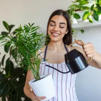 De ce nu trebuie să uzi florile de interior cu apă rece de la robinet. Care este temperatura bună pentru udat? - Foto: Freepik (Imagine cu rol ilustrativ)