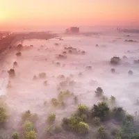Parcul Natural Delta Văcărești/FOTO: Helmut Ignat