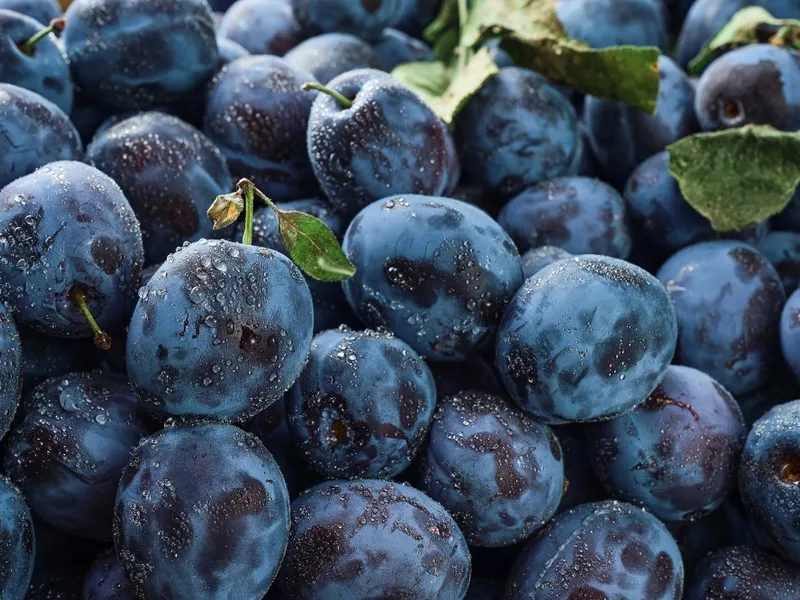 Fructul din copac, zemos și plin de vitamine. Slăbește și curăță colonul din câteva guri - Foto: Freepik