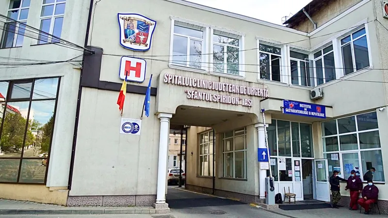 VIDEO Invazie de lilieci la Spitalul „Sfântul Spiridon” din Iași. Aproape 200 de exemplare, prinse - Foto: dspiasi.ro