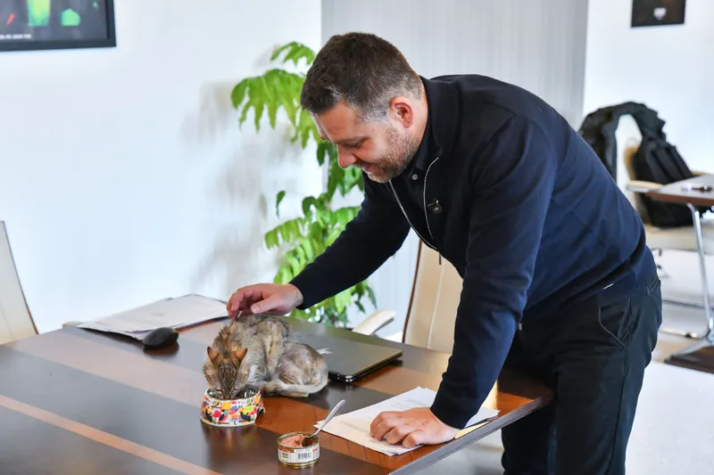 Ciprian Ciucu și pisica Cathy la primărie - Foto: Primăria Capitalei
