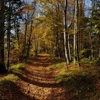 Foto: BrasovRomania.net