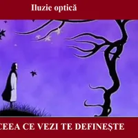Iluzie optică Foto: Newsweek
