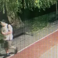 Cine este bărbatul care a dat foc parcului IOR din Capitală? A fost arestat - Foto: Amator
