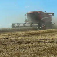 Recoltarea grâului e în toi. Fermierii din Iași se declară mulțumiți de producție - Foto: ZiaruldeIasi(imagine cu rol ilustrativ)