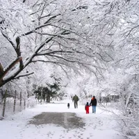 Ce e „frigul Arctic” ce va lovi România cu furtuni de zăpadă și frig extrem? Ce zone sunt afectate? - Foto: Profimedia / iagine cu caracter ilustrativ