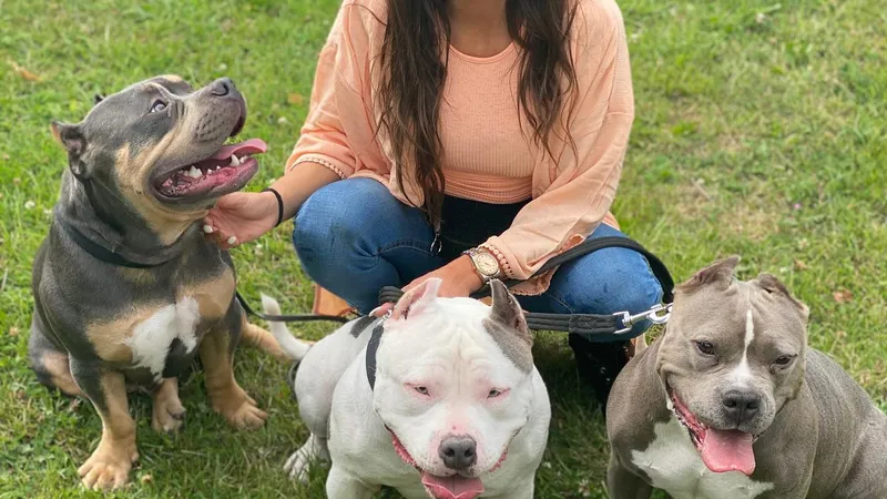 ania Gomez apărea ca președinte al unei organizații care are grijă de animalele fără stăpân Foto:Facebook/ HundGarin