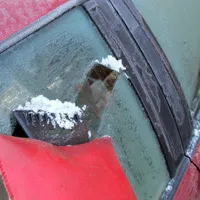 5 metode să dezgheți parbrizul mașinii fără racletă și să eviți o amendă de până la 1.160 lei - Foto: Profimedia Images