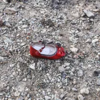 Rămășițele de la locul prăbușirii avionului ucrainean/Foto: Buzznews