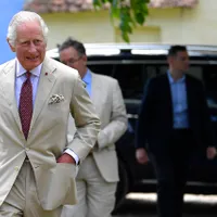 Regele Charles deține toate balenele și delfinii din apele Regatului Unit - Foto: INQUAM Photos/Alex Nicodim