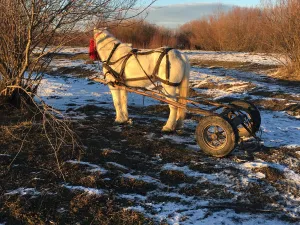 Un bărbat a fost găsit înecat în râul Moldova. Caii și căruța erau abandonate pe mal  - Foto: ISU / imagine cu rol ilustrativ