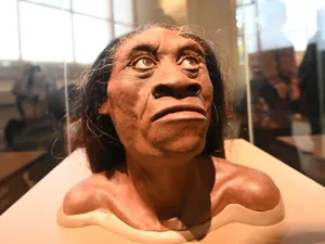 Neandertalienii au condus fabrici de scos grăsimea din oase, acum 125.000 de ani - Foto: Profimedia Images