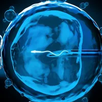 Guvernul va deconta 5.000 de proceduri de fertilizare in vitro. Când vor intra banii/FOTO: Pixabay