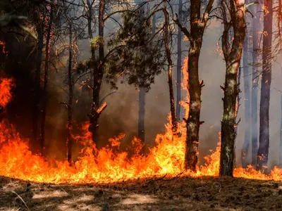 „Fantoma de foc”. Arma misterioasă cu care Ucrainia pur și simplu „rade” tranșeele rușilor - Foto: captură youtube (imagine cu caracter ilustrativ)