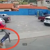 Tânăr din Botoșani, lovit de un câine pe trecere de pietoni / Foto: Captură video