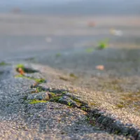 CUTREMUR în România. Cât de puternic a fost seismul și unde s-a simțit Foto: Profimedia Images (fotografie cu caracter ilustrativ)