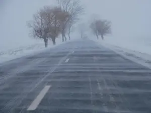 Viscolul face ravagii în sud-estul Româniai - Foto: Facebook/Compania Nationala de Administrare a Infrastructurii Rutiere