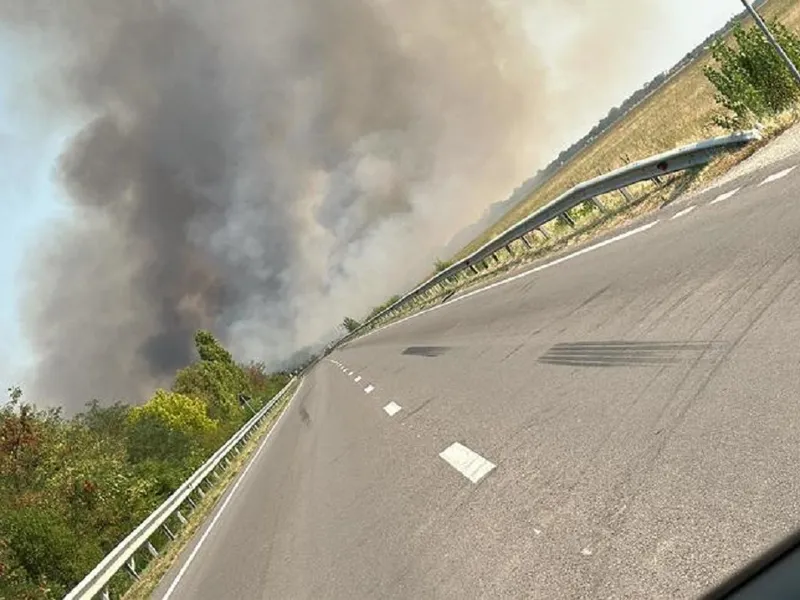 Incendiu violent între calea ferată și un drum națioal. Arde vegetația pe 10 hectare de teren - Foto: ISU Dolj