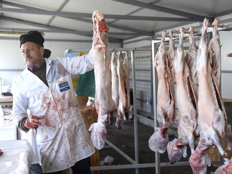 Crescătorii de ovine: Preţul corect la carnea de miel de Paște, 45-50 lei/kg la producător. - Foto: Inquam Photos / Alex Nicodim