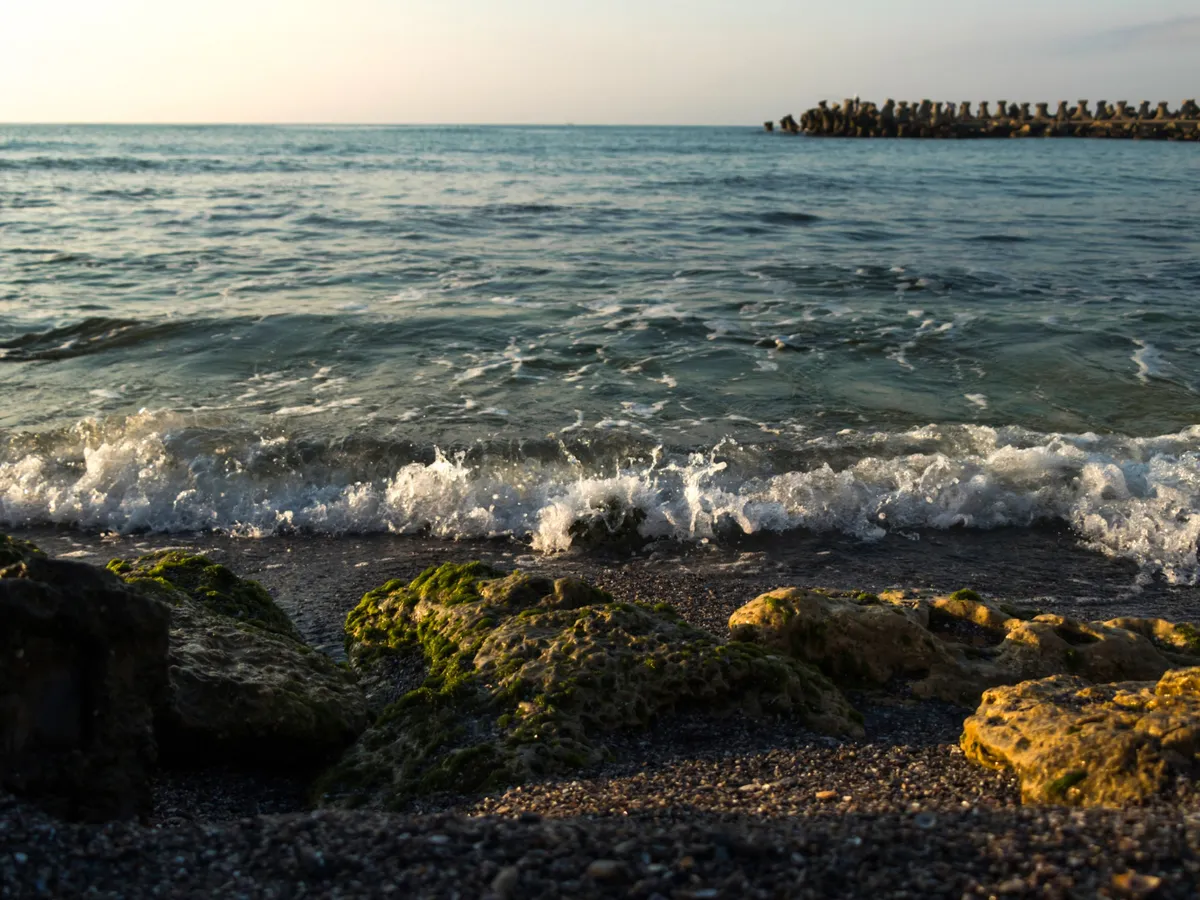 Mare - Foto: magnific (Imagine cu rol ilustrativ)