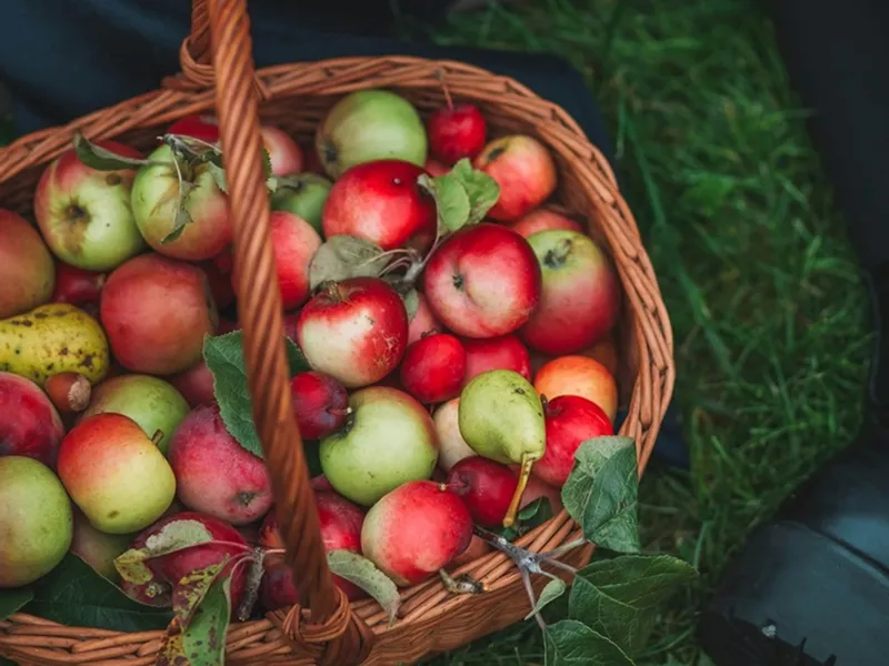 Fructul de 1 leu care îți dă de 10 ori mai multă energie decât cafeaua. Cel mai ieftin din România - FOTO: Pexels (imagine cu rol ilustrativ)