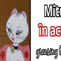 Judecătoria Ploiești îi îndeamnă pe mituitori să toarne la DNA, cu ajutorul lui Tom și Jerry