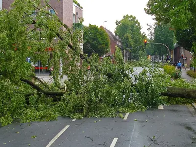 RO-ALERT în București: averse, ploi torențiale și intensificări ale vântului. Ce se întâmplă acum - Foto: Pixabay(imagine cu rol ilustrativ)