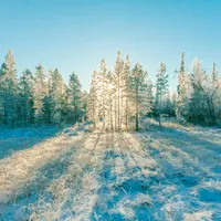 VREMEA Va fi o iarnă geroasă datorită unui vortex polar. La ce se așteptăm peste câteva luni? Foto: Pexels (fotografie cu caracter ilustrativ)