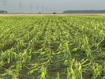 Seceta și grindina, dezastru în agricultură. Peste 40% din agricultorii asigurați au avizat daune - Foto: Agra Asigurari