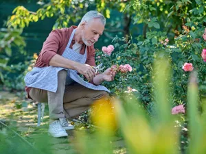400 lei în plus la pensie din luna mai. Care pensionarii iau bani în plus săptămâna viitoare?  - Foto: Freepik