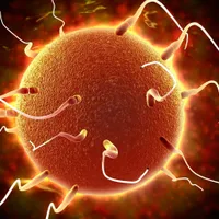 Cuplurile infertile ar putea beneficia de până la 3 proceduri de inseminare artificială decontate/FOTO: delfi.lt