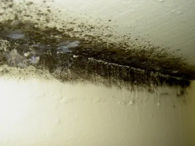 Case - Foto: ziaruldeiasi