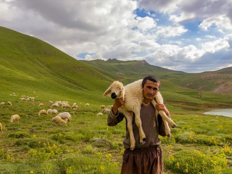 Cioban ţinând pe umeri un miel - Foto: Pexels/Kaan Durmuş (Imagine cu caracter ilustrativ)
